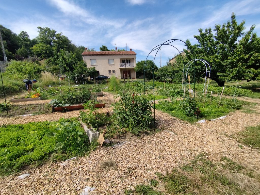 photo du jardin avec des allées paillées